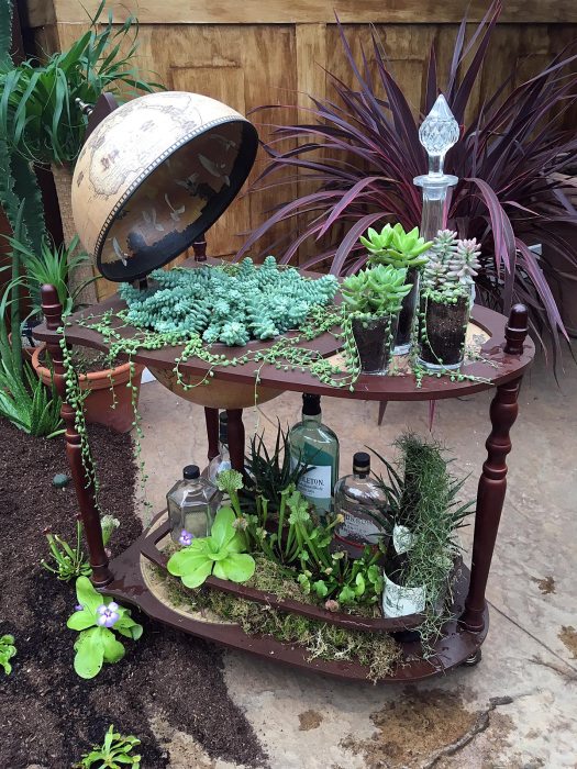Globe drinks bar with string-of-pearl plant