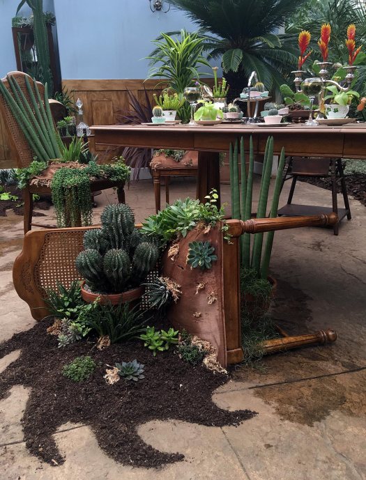 Upholstered chairs with plants growing from them