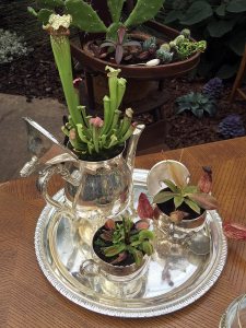 Teapot, sugar bowl and milk jug planters