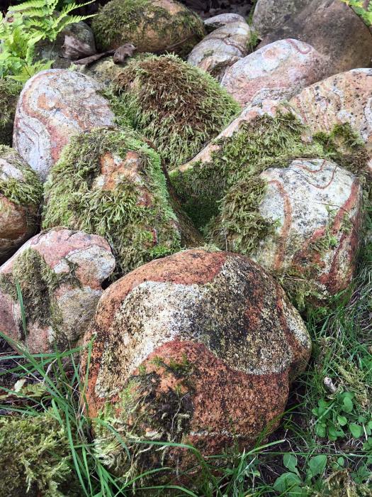 River rocks with moss creeping over them