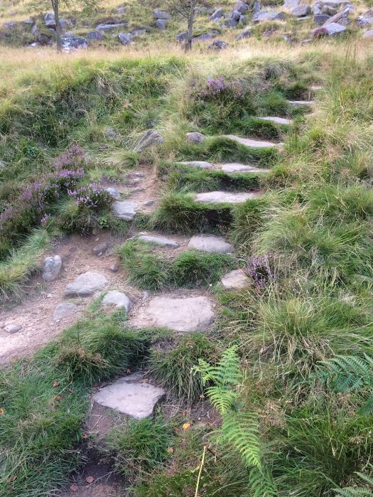 Stone steps on a hillside