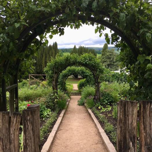 Garden path running beneath plants on arches