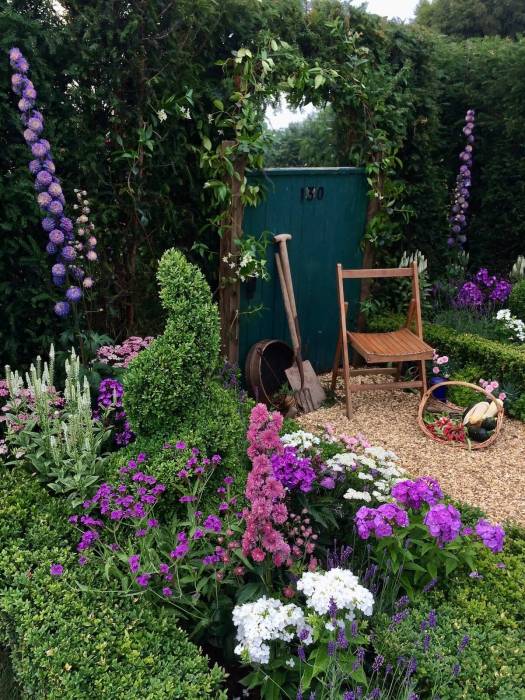 Tall, double flowered delphiniums