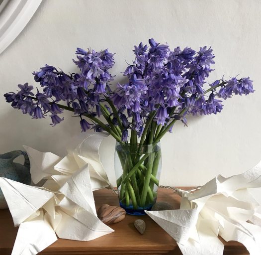 Vase of Spanish bluebells
