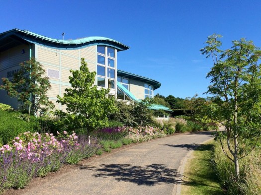 Harlow Carr roses in front of Harlow Carr Library