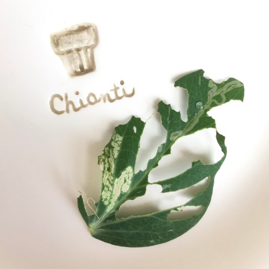 Caterpillar eaten leaf