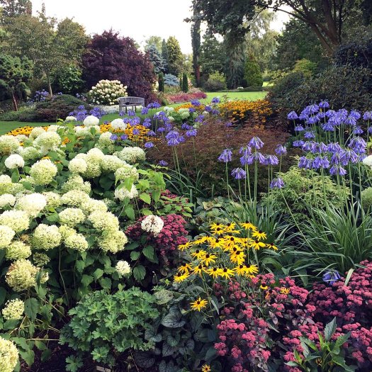Wide mixed border at Foggy Bottom, Bressingham