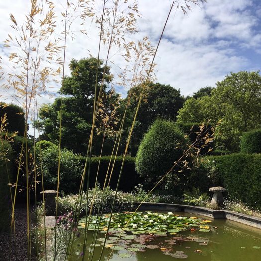 Traditional lily pool at Cothay Manor