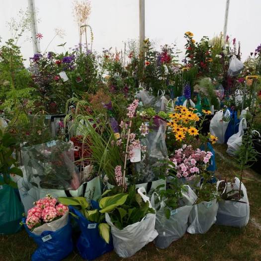 Plant creche at a flower show