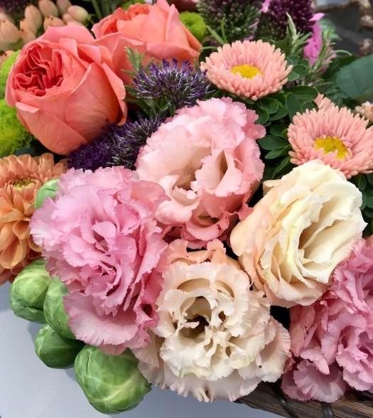 Pink and cream lisianthus (Eustoma)