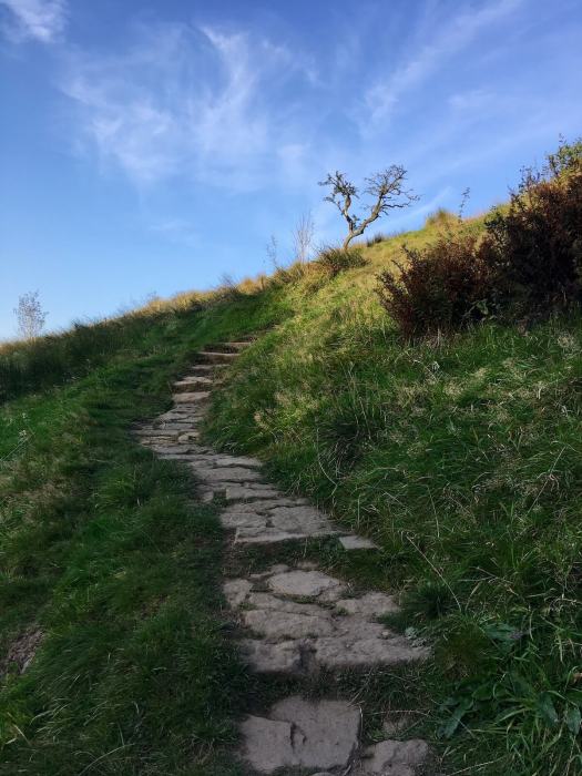 Stone steps on Darwen moor