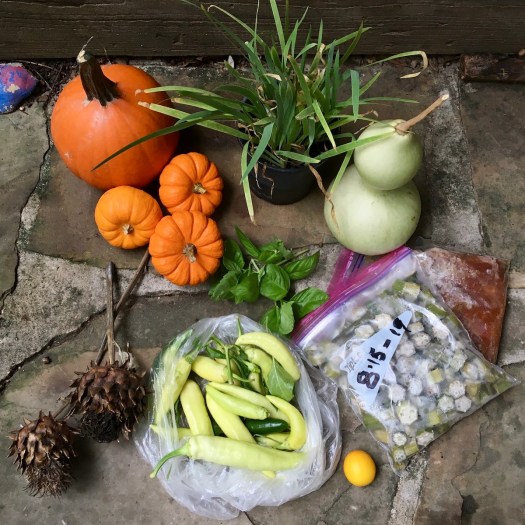 Gifts from the garden