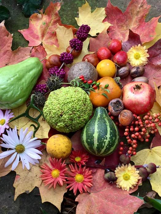 Autumn leaves with fruits, nuts and daisies