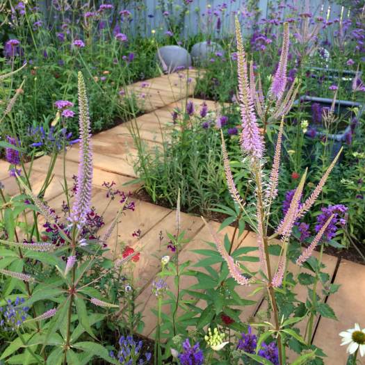 A Place To Think show garden