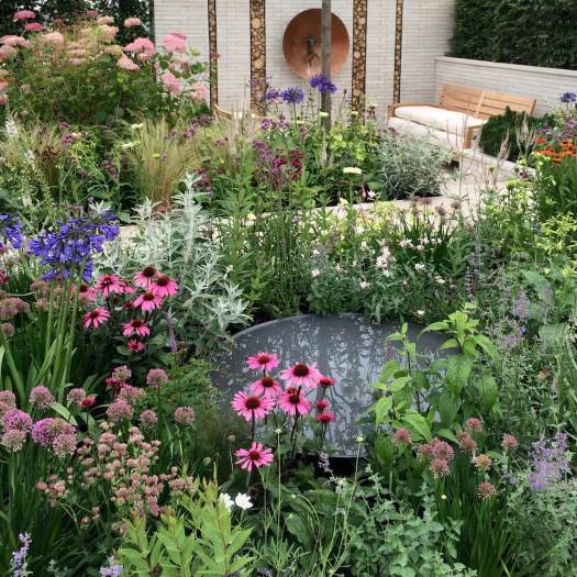 At One garden by Will Williams