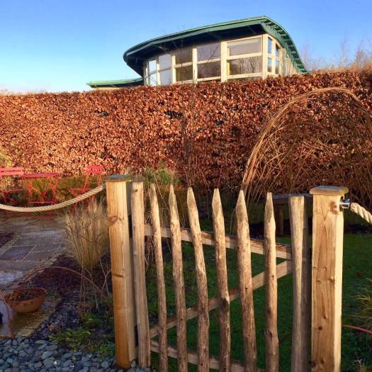 Beech hedge at Harlow Carr