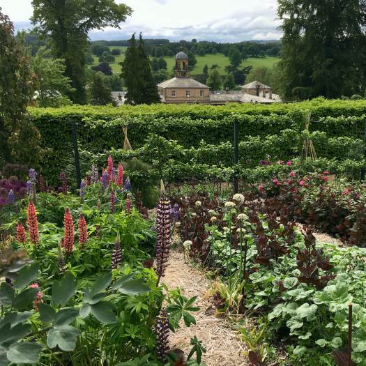 Chatsworth House kitchen garden