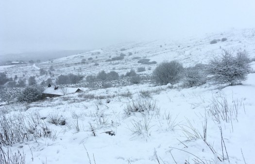 Farmhouse half hidden on snowy moorland