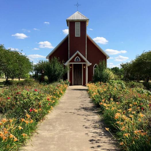 Antique Rose Emporium Chapel with daylilies