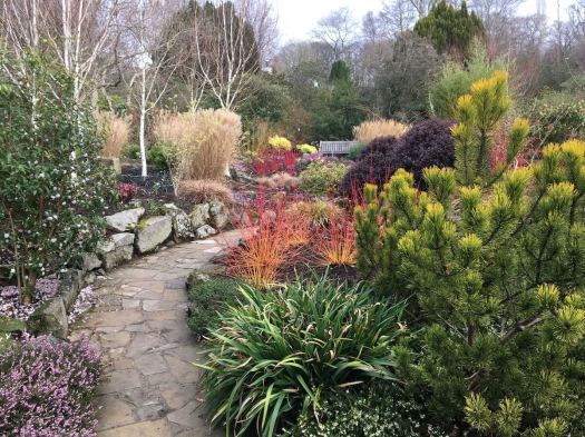 Bodnant's winter garden