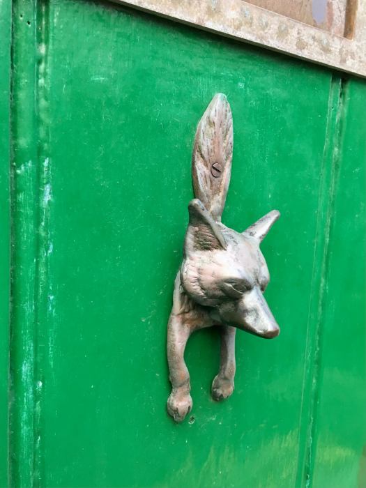 Fox on green door