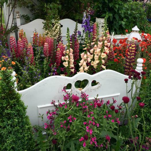 Flowers in a bed frame
