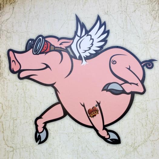 Flying pig design