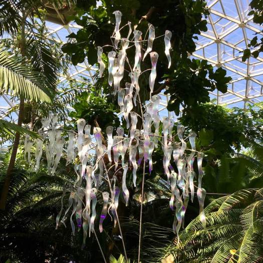 Tree of Life | Craig Mitchell Smith