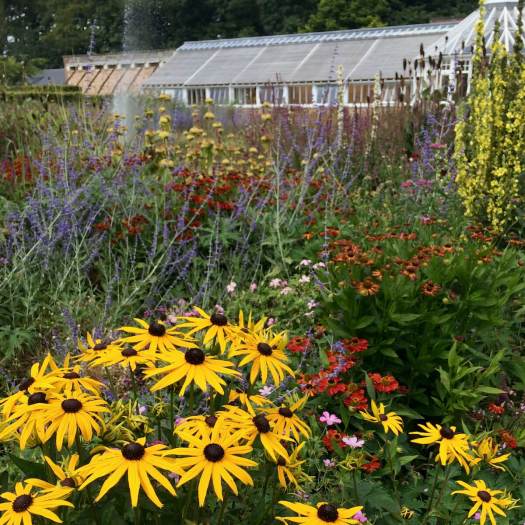 Floral display at Scampston Hall Gardens