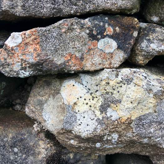 Stone wall covered in lichens