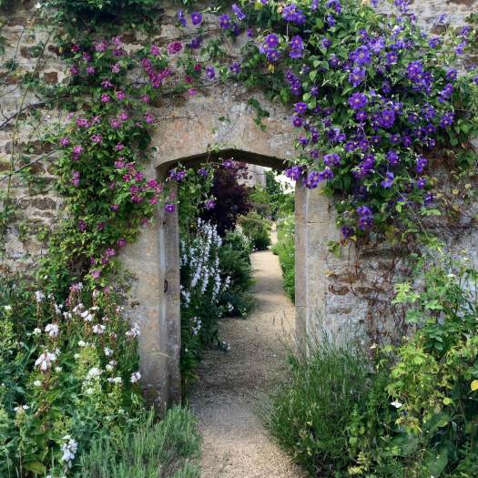 Clematis round a doorway at Rousham Garden
