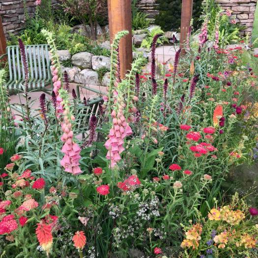 Elements of Sheffield BBC Garden