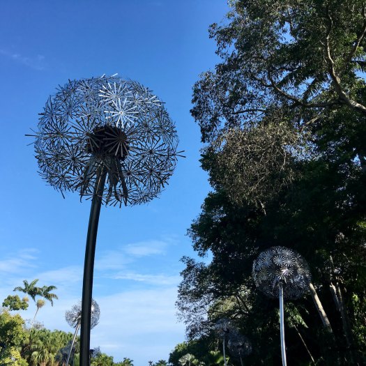 Giant seed art at the Fairchild Tropical Botanical Garden