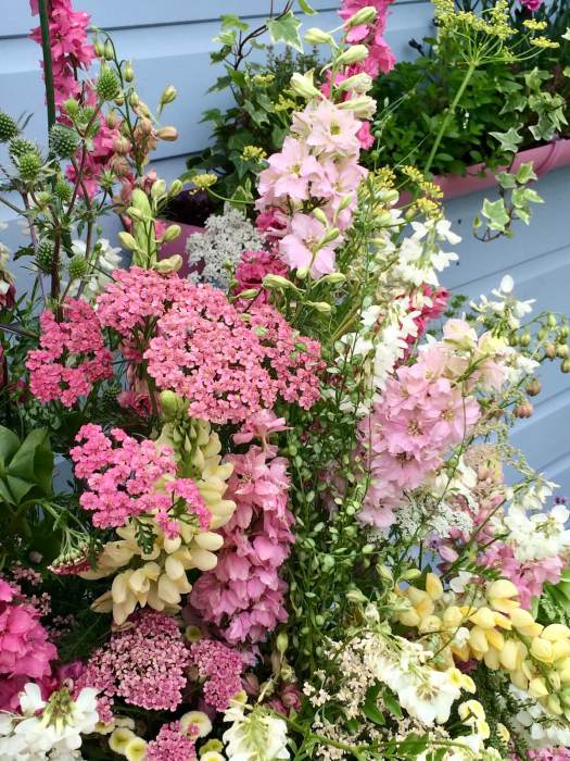 Cut flowers in pastel shades