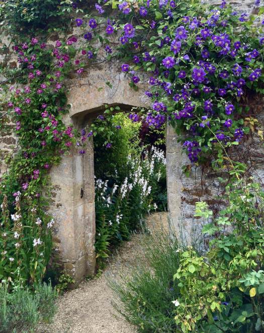 Rousham doorway with clematis