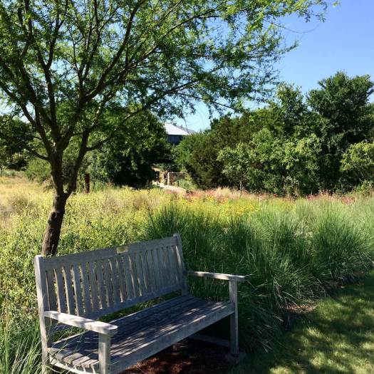 Garden bench under a tree at Scampston Hall Gardens