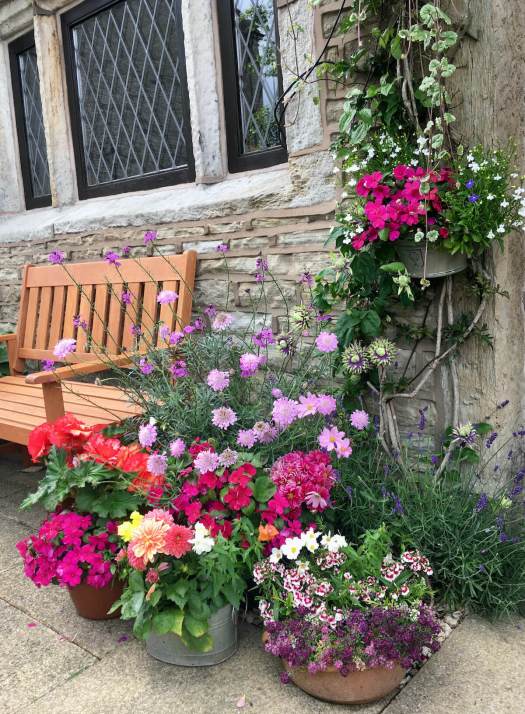 Garden of potted plants