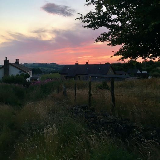 Knowle Lane at sunset