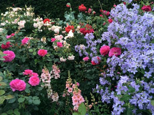 Roses with bellflower, snapdragon and poppy
