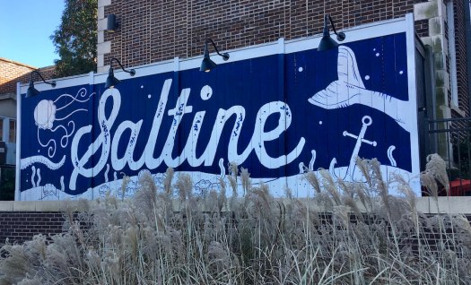 Saltine logo, Jackson, Mississippi