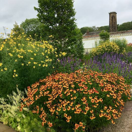 RHS Garden Bridgewater