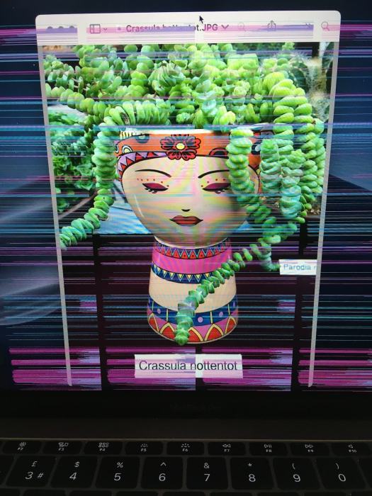 MacBook Pro with flickering lines on the display