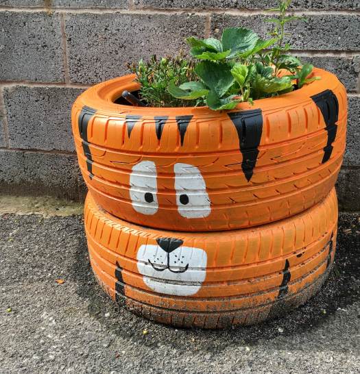 Tiger tyre planter with strawberry plant
