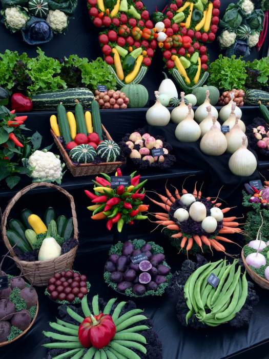 Display of seed-grown vegetables at a flower show