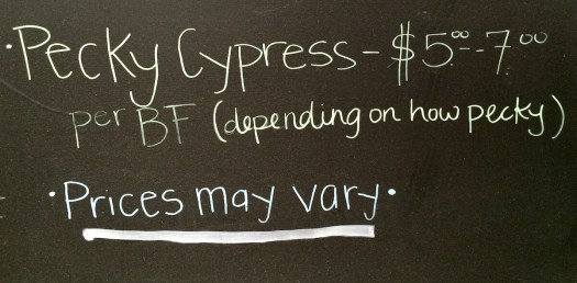 Old House Depot's pecky cypress sign, Jackson