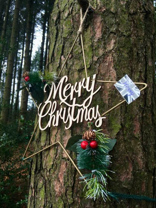 Merry Christmas star on a tree