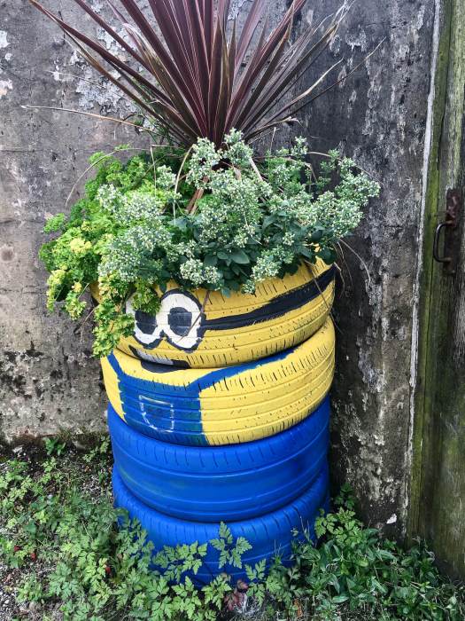 Minion tyre planter with herbs