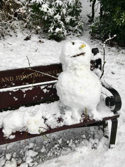 Snowman with snowcat