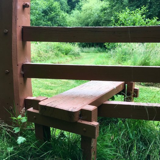 Style at Broomhill Sculpture Garden