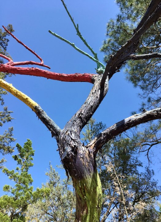 Angst 2020 by Bill Taylor